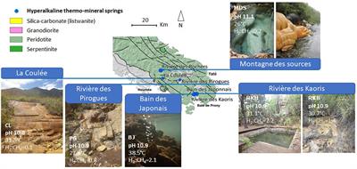 Microbial taxa related to natural hydrogen and methane emissions in serpentinite-hosted hyperalkaline springs of New Caledonia